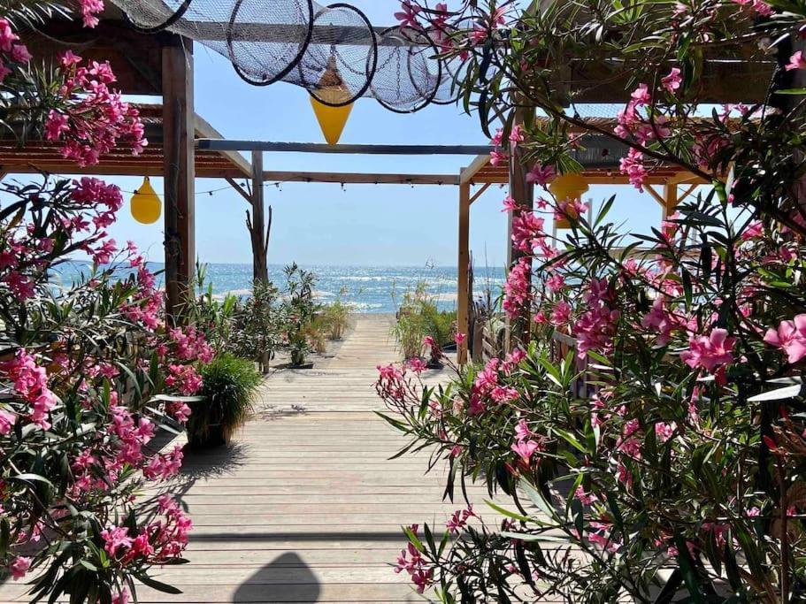Les Voiles Blanches T2 Luxe A 100M De La Plage Leucate Exterior foto